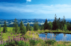Bavarian Forest: Sense the mysterious and unspoiled nature like never before
