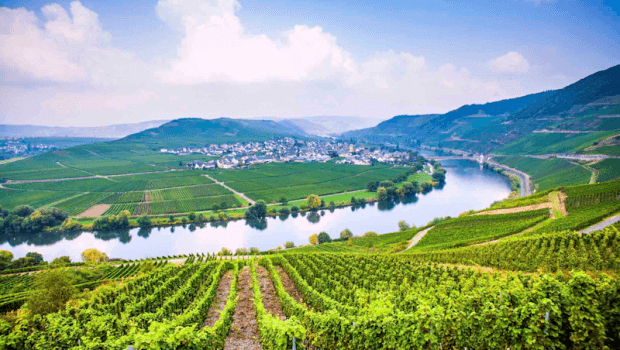 Mosel: The Wine Country